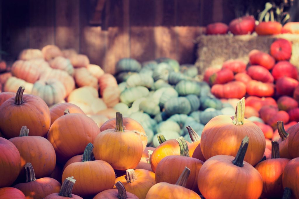 A vibrant collection of pumpkins and squash at an outdoor market, ideal for fall themes.