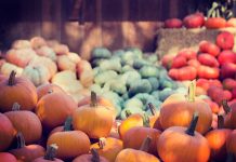 A vibrant collection of pumpkins and squash at an outdoor market, ideal for fall themes.