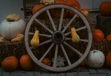 Your Guide to the Best Fall Hayrides Near Hoboken Rustic autumn display featuring pumpkins and a wooden wagon wheel on hay bales, perfect for fall decor inspiration.