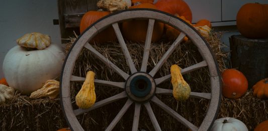 Your Guide to the Best Fall Hayrides Near Hoboken Rustic autumn display featuring pumpkins and a wooden wagon wheel on hay bales, perfect for fall decor inspiration.