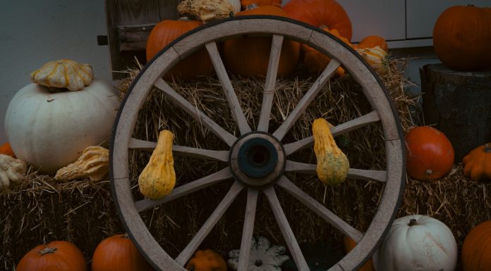 Rustic autumn display featuring pumpkins and a wooden wagon wheel on hay bales, perfect for fall decor inspiration.